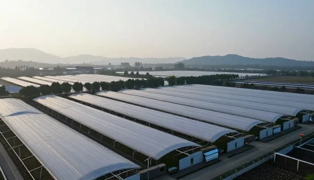 提升技术外包项目交付质量的关键实践